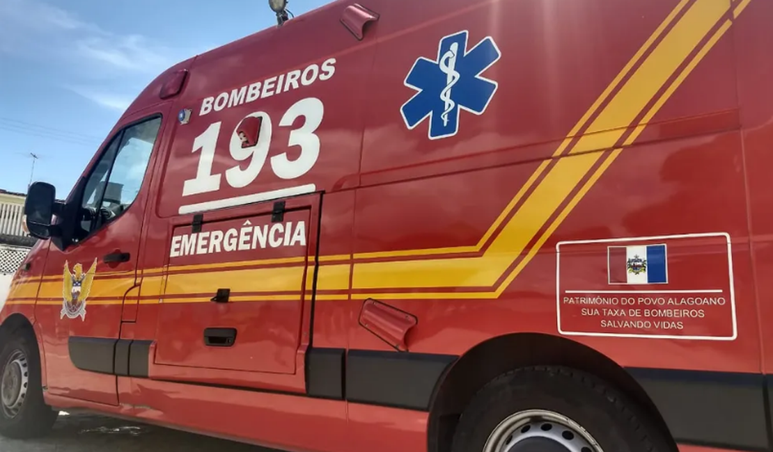 Motociclista cai em ribanceira após colidir com cavalo na zona rural de Porto Real do Colégio