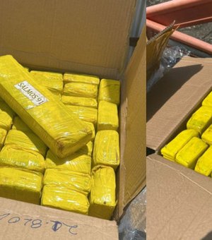 Capítulo bíblico estampa embalagens de 500 kg de maconha apreendidas em São Sebastião