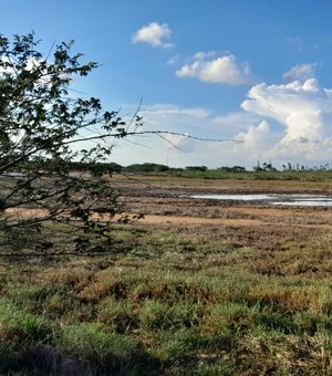 ANA aponta seca mais branda em Alagoas em fevereiro; área atingida pelo fenômeno caiu 10%