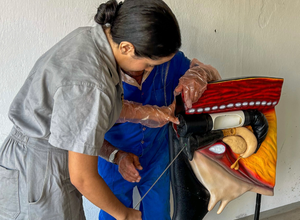 Curso de Inseminação Artificial capacitou mais de 120 alunos em 2024