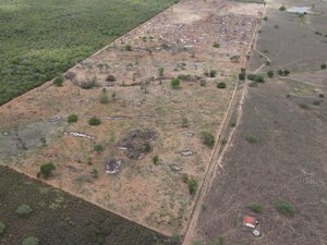 MPAL firma acordos para recuperar áreas degradadas da Caatinga em Traipu e garantir R$ 210 mil em indenizações