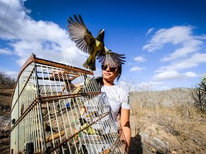 FPI devolve mais 343 animais silvestres à Caatinga