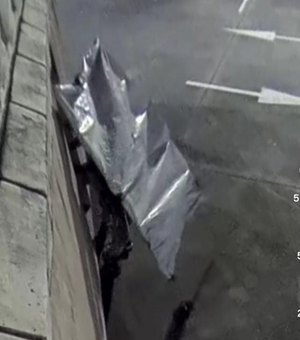 Criminosos arrombam porta da estátua da Havan em Maceió e detonam bomba