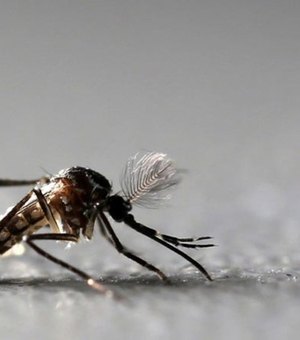 Brasil tem 45 mortes confirmadas por dengue, chikungunya e zika em 2018