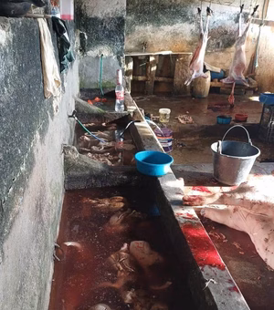 Urubus, insalubridade e risco à saúde: abatedouro clandestino é fechado em União dos Palmares