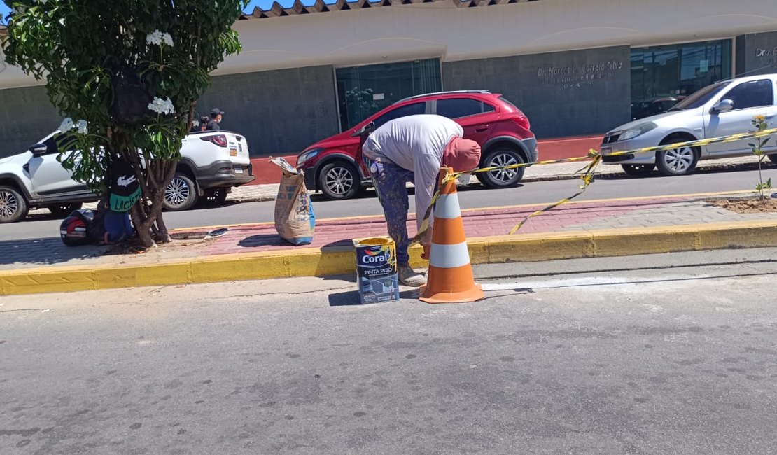 Prefeitura de Palmeira faz últimos ajustes na manutenção dos canteiros de avenidas