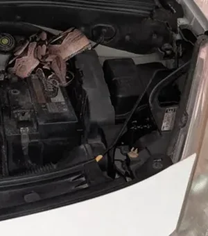 Casal de argentinos encontra jiboia no motor do carro e polícia é acionada em Maceió