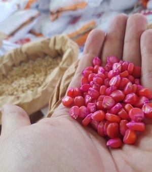 Governador entrega 60 toneladas de sementes em Matriz neste domingo (23)