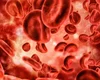 12 curiosidades sobre o sangue que você talvez não conheça
