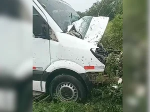 Van colide com dois cavalos soltos na pista em Maravilha, Alagoas