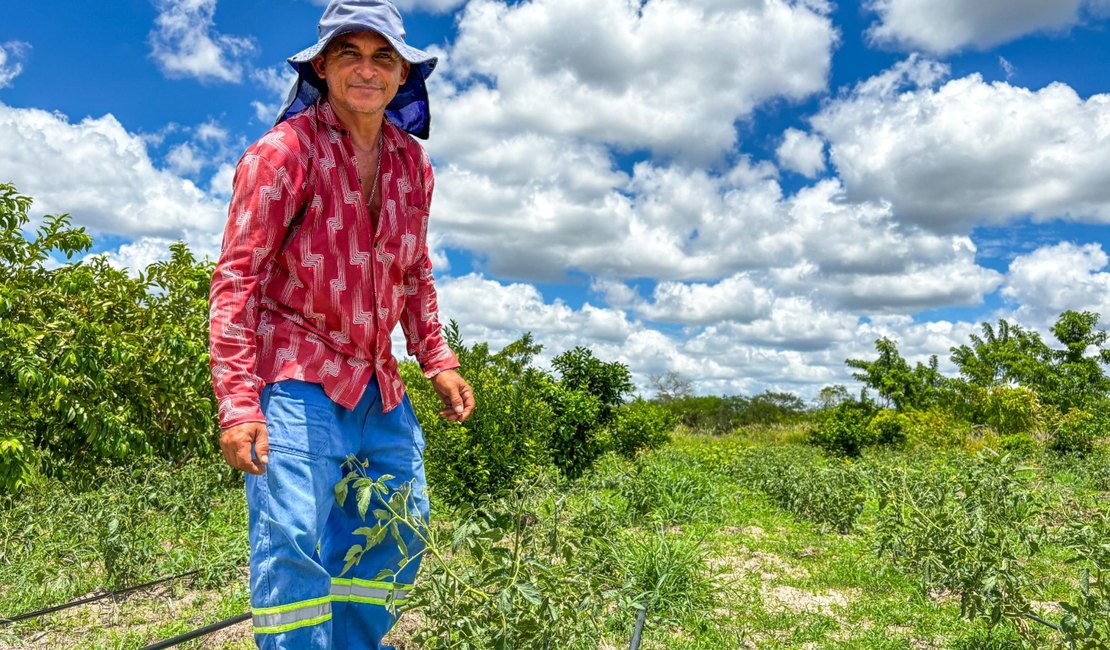 Projetos de agricultura irrigada no Sertão receberam investimentos de R$ 2,4 milhões do governo