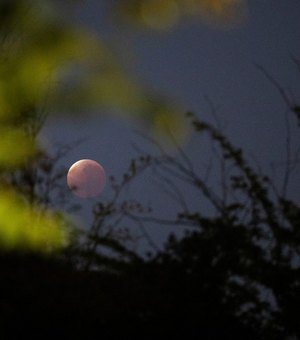 Veja fotos do eclipse lunar mais longo dos últimos 580 anos pelo mundo