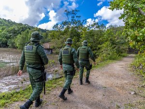 Polícia Militar resgata jaguatirica que entrou em residência em Penedo
