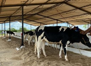 39ª Expo Bacia será aberta nesta quarta (14) com grande expectativa de público e negócios