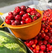 Maragogi recebe etapa Região Norte do Circuito Regional de Feiras da Agricultura Familiar