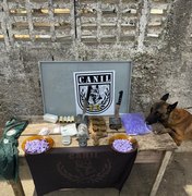 Polícia apreende maconha e cocaína em matagal de Arapiraca