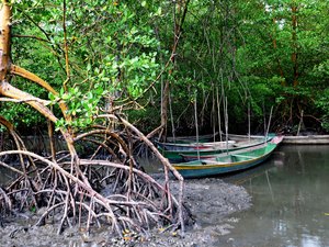 Alagoas alcança a marca histórica de 100 Unidades de Conservação