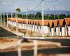 Casal faz manutenção preventiva em sistema de Santa Luzia do Norte na quarta-feira (10)