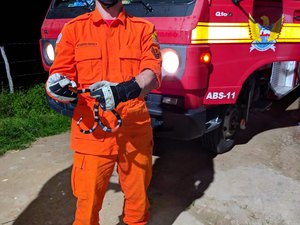Cobra é resgatada em residência em São Miguel dos Campos