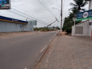 Motorista colide em poste de iluminação pública e foge do local do acidente em Arapiraca