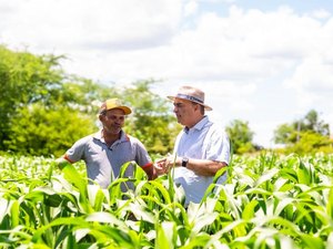 Garantia Safra beneficiará 587 agricultores de Palmeira com mais de R$ 700 mil