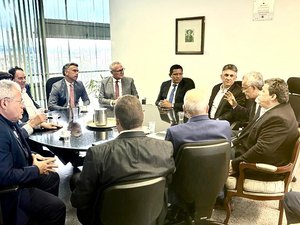 Em reunião com Júlio Cezar Renan Calheiros garante novas emendas para Palmeira dos Índios