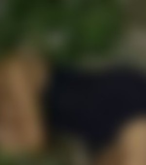 Adolescente de 17 anos é morta com seis tiros em vila no Salvador Lyra, em Maceió