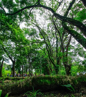 Secretaria do Meio Ambiente reforça as ações de preservação em Maceió