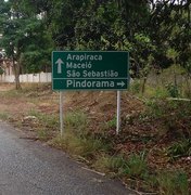 Bombeiros retiram cavalo morto em rodovia de Penedo ao Distrito de Pindorama