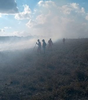 Bombeiros são acionados para controlar fogo em vegetação na cidade de Arapiraca