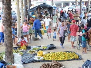 I Feira da Agricultura Familiar faz sucesso em São Miguel dos Campos