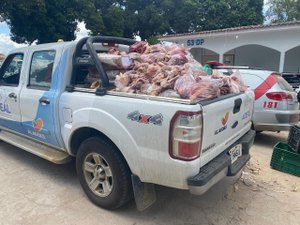 Com suspeita de venda de carne de cavalo, PC desmonta matadouro clandestino em Arapiraca