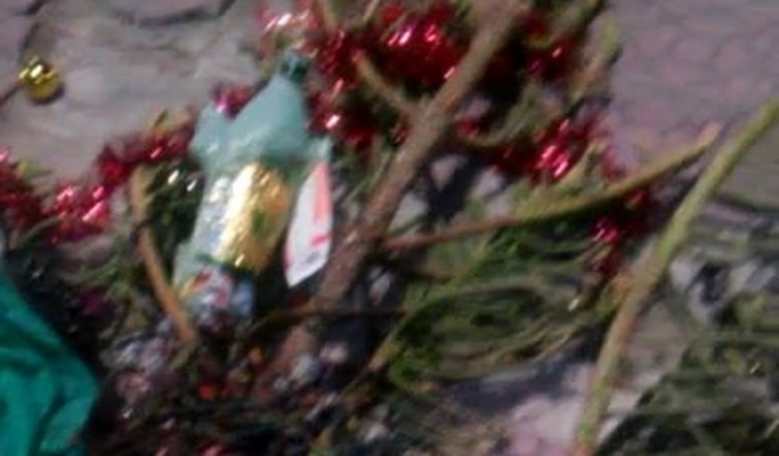 Árvore de Natal montada por jovens em Olho D´agua das Flores é destruída