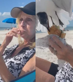 Gaivota surpreende turista e rouba pedaço de lanche em praia nos EUA