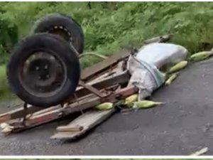 Idoso de 81 anos morre ao ser atingido por carreta enquanto atravessava BR em Água Branca