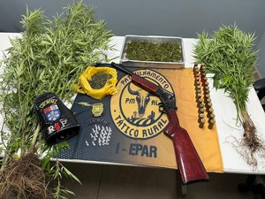 Ação policial flagra pequena plantação de maconha no município de Igaci