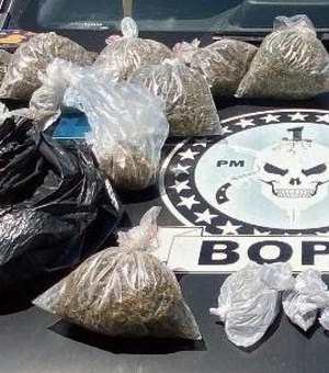 Ação da PM apreende mais de três quilos de maconha na Ponta Grossa