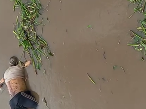 [Vídeo] Bombeiros resgatam corpo de homem que desapareceu no Rio Mundaú