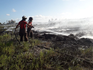 Bombeiros combatem incêndio em vegetação de Palmeira dos Índios