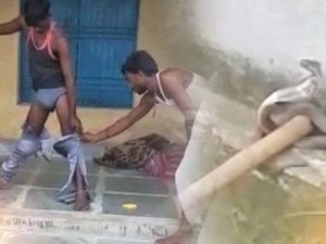 Cobra venenosa entra em calça de homem que tirava soneca e equipe de resgate é chamada