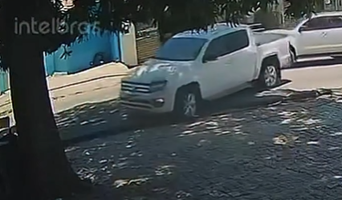 Delegado Leonam denuncia atropelamento de cadela no Feitosa e cobra identificação de motorista