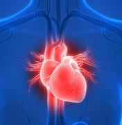 Mortes cardíacas sem causas definidas aumentam 45% no Estado em 2020