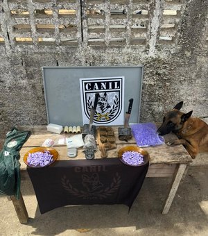 Polícia apreende maconha e cocaína em matagal de Arapiraca