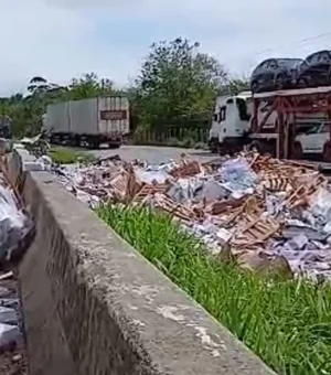 Caminhão com carga de livros tomba na BR-101 entre Messias e Flexeiras