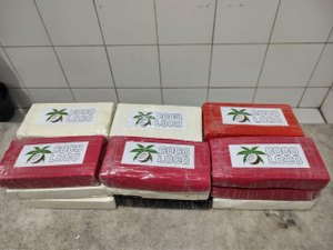 Ação integrada prende homem que trazia 19 quilos de cocaína de São Paulo para vender em Maceió