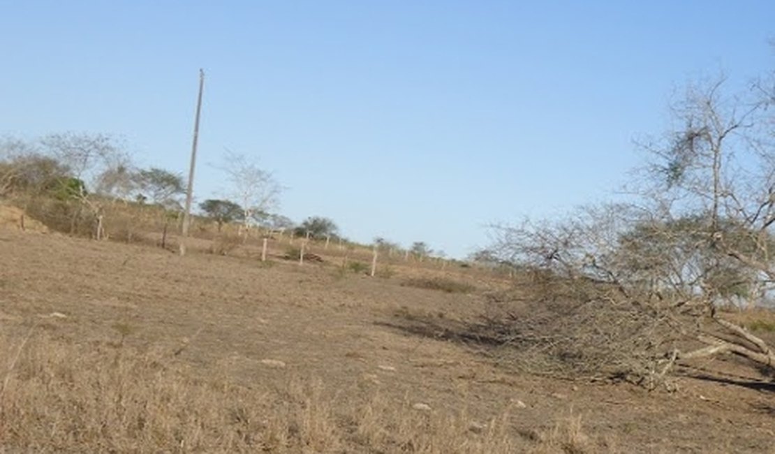 Arapiraca receberá ajuda contra efeitos da seca