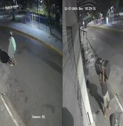 Câmeras flagram homem invadindo e furtando bar em Caruaru; prejuízo é de R$ 12 mil