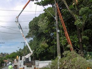 Nas últimas 24 horas cerca de dez árvores caíram em Maceió