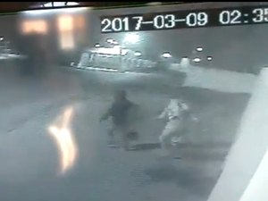 Incrível: câmeras flagram homens furtando pés de pinheiro na calçada de uma casa