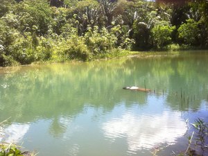 Corpo é encontrando boiando em açude de Estrela de Alagoas